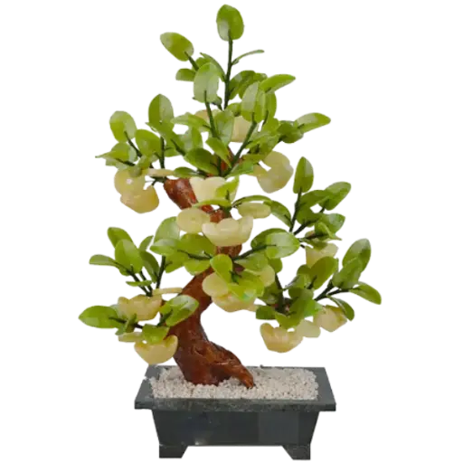 [ADA.T04.001] Bonsai Nén vàng 001